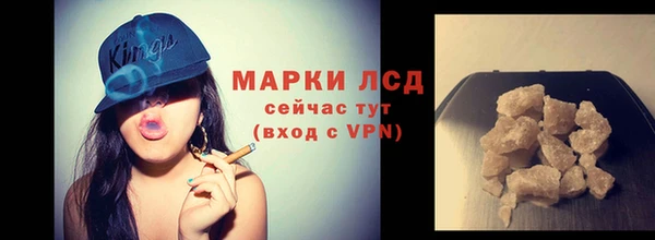 стафф Данков