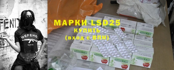 стафф Данков