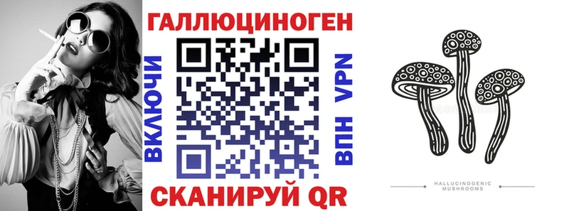 Купить закладки  Губкин  Галлюциногенные грибы Psilocybe 